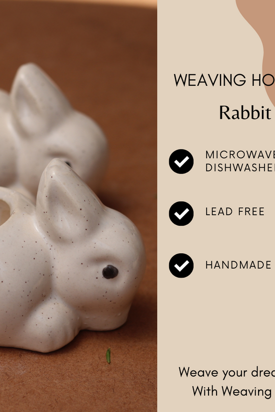 Rabbit planters significations