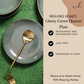 Glossy Green Quarter Plate