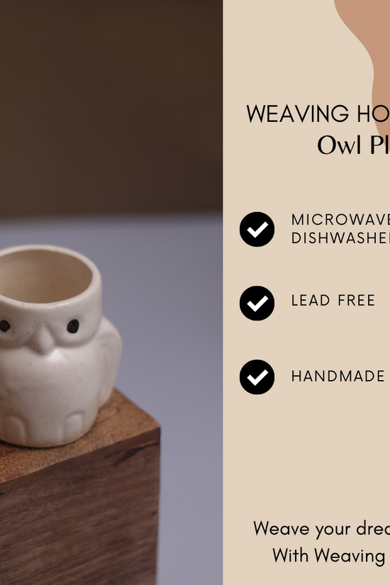 Ceramic planter specifications 