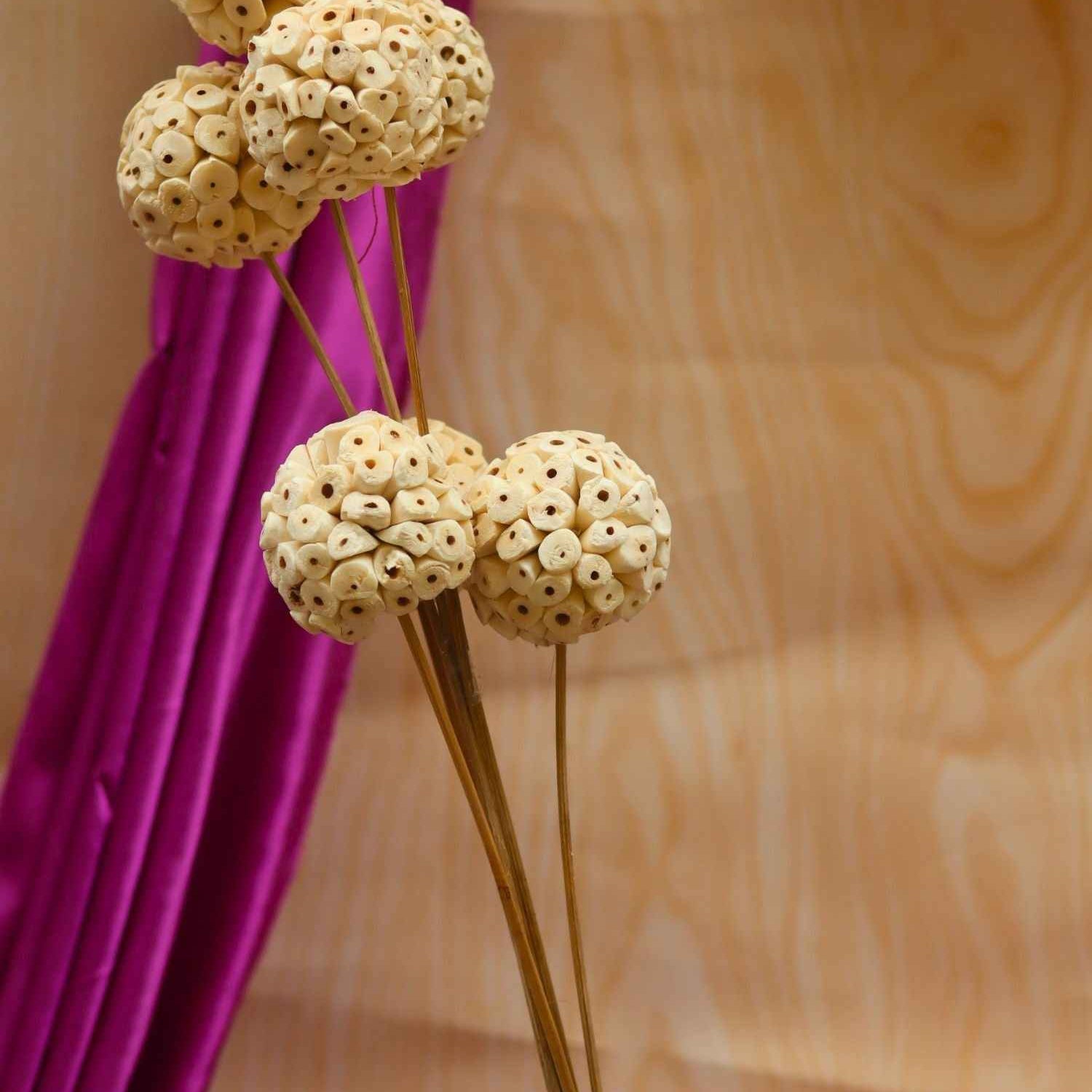 Honeycomb Bloom Bunch