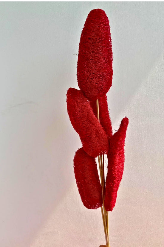 Red Lofah Bunch made with premium quality material