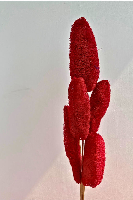 Red Lofah Bunch handmade in India