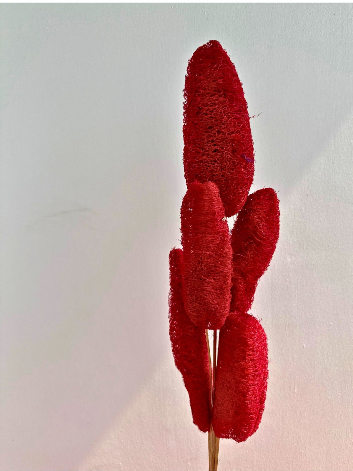 Red Lofah Bunch handmade in India