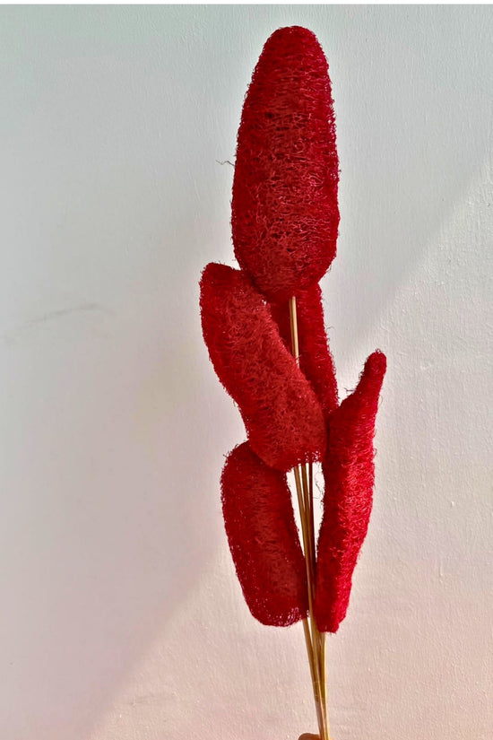 Red Lofah Bunch for your home decor