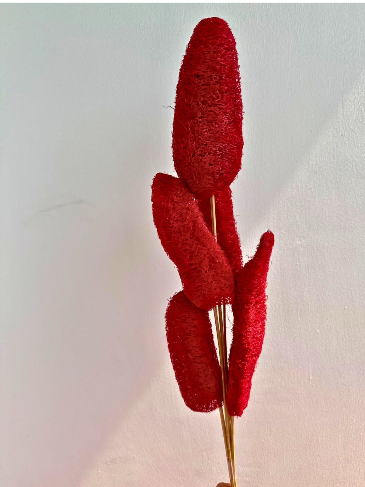Red Lofah Bunch for your home decor