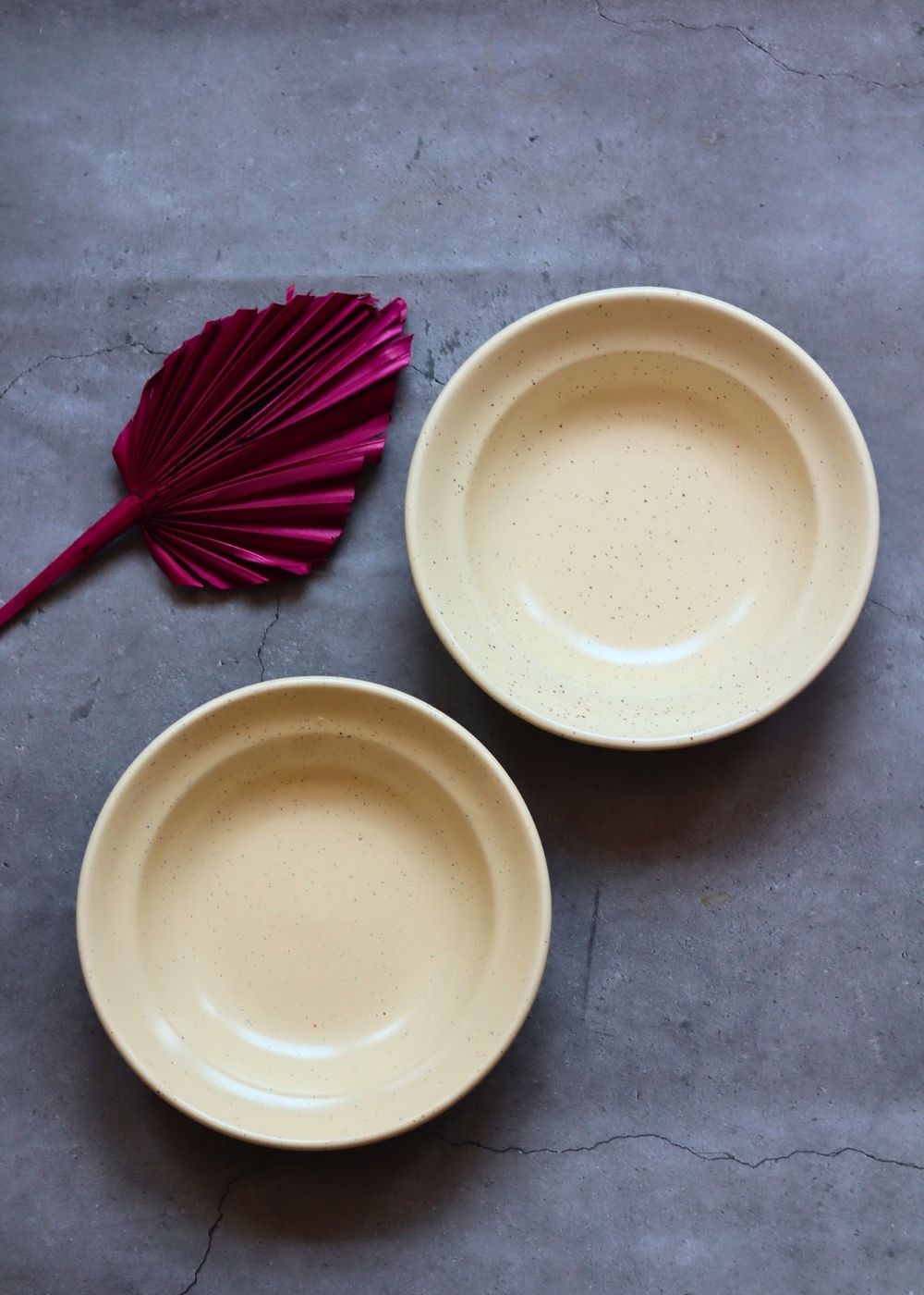 ivory pasta plate set of two combo