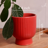 Ceramic planter height & breadth 