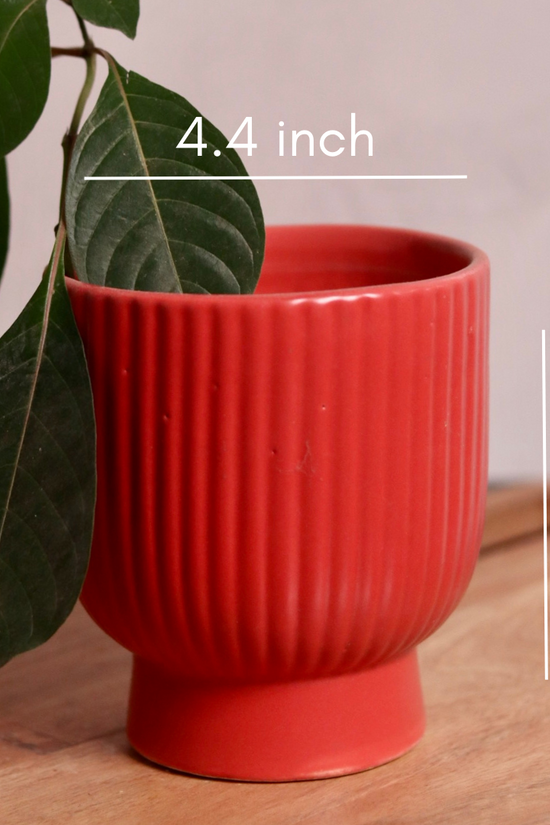 Ceramic planter height & breadth 