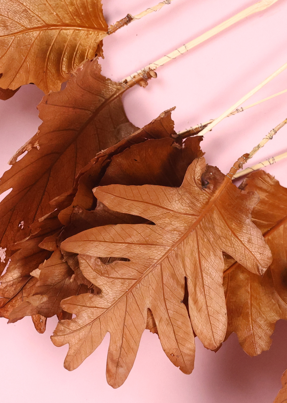 Dried leaf bouquet