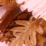 Dried leaf bouquet