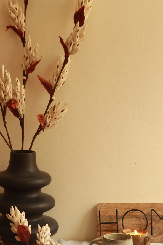 Sola Corn Flower - Bunch