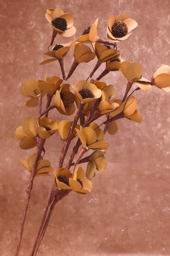 Brown Mangolia Bunch for your home decor