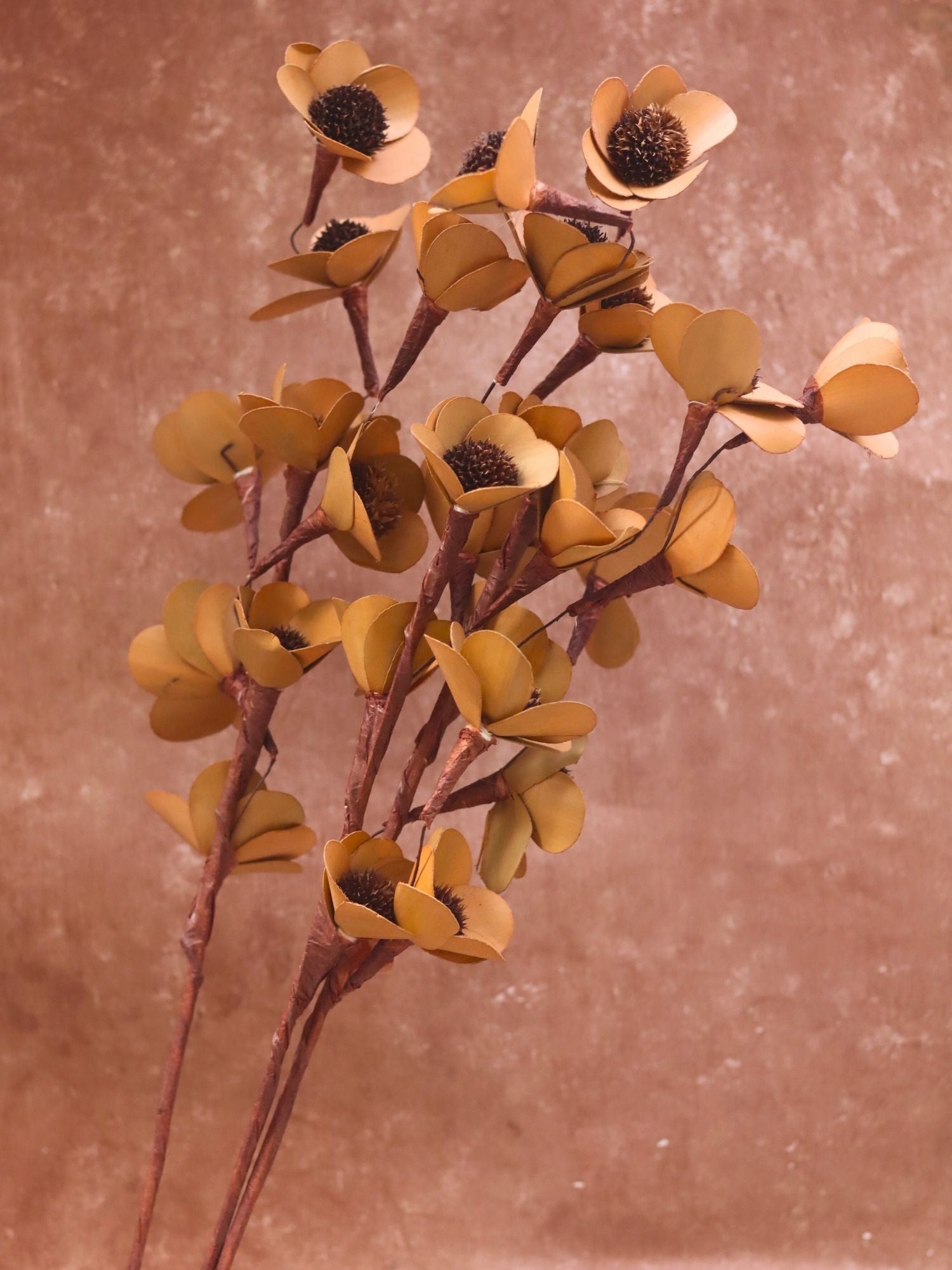 Brown Mangolia Bunch for your home decor