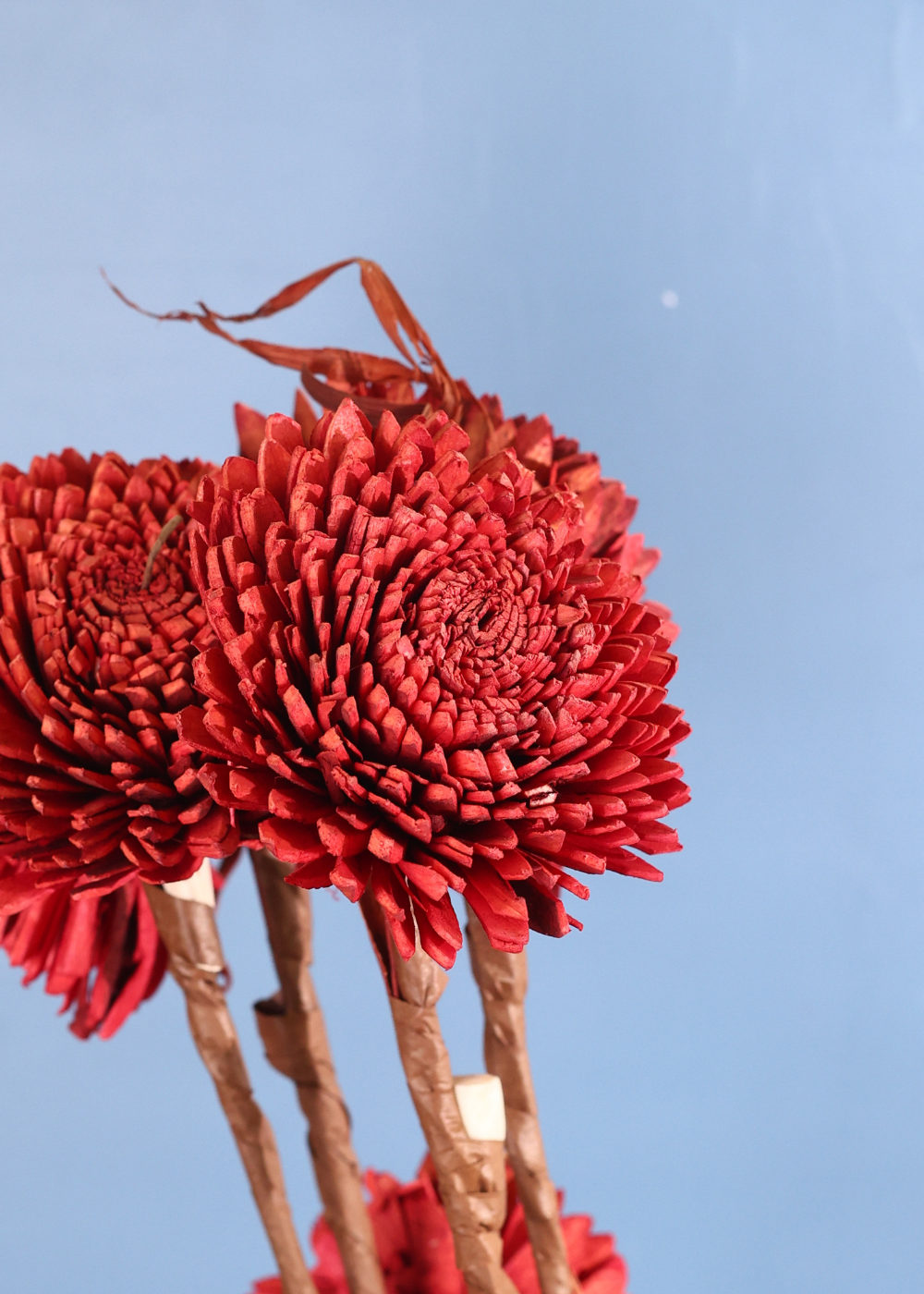 Red flower bunch 