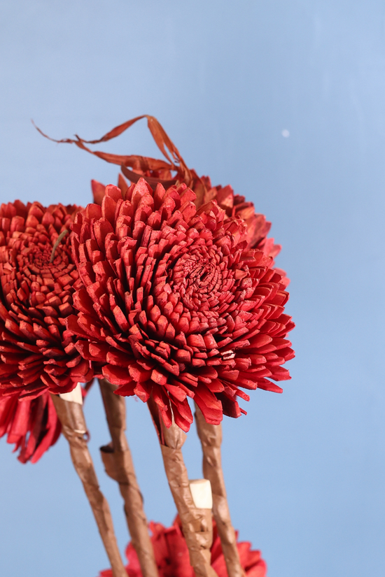 Red flower bunch 