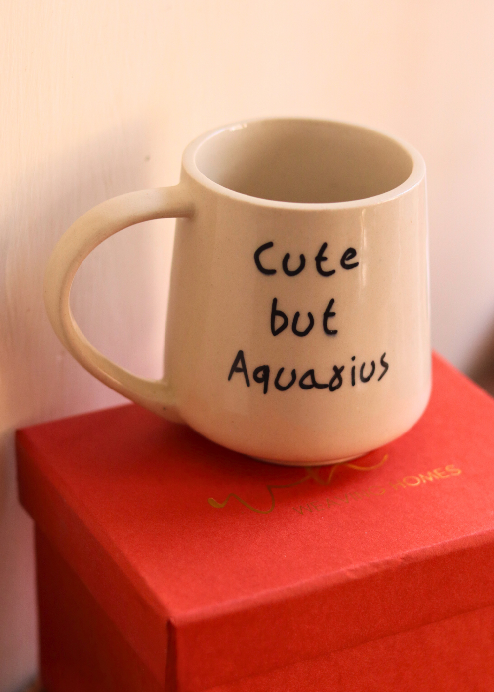 cute but aquarius mug in a gift box made by ceramic 