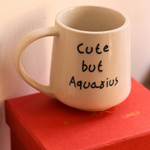 cute but aquarius mug in a gift box made by ceramic 