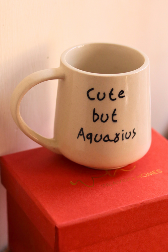 cute but aquarius mug in a gift box made by ceramic 