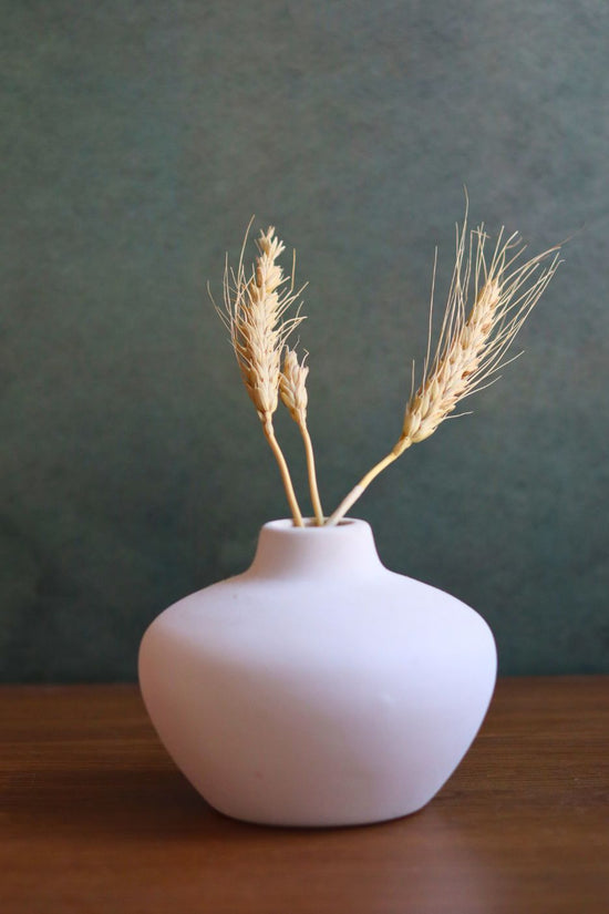 esoteric vase with matte finish