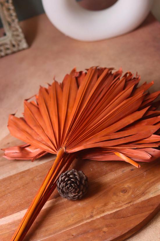 Dried flower bunch natural palm