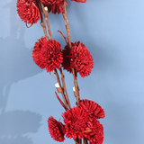 Red dried flower bouquet