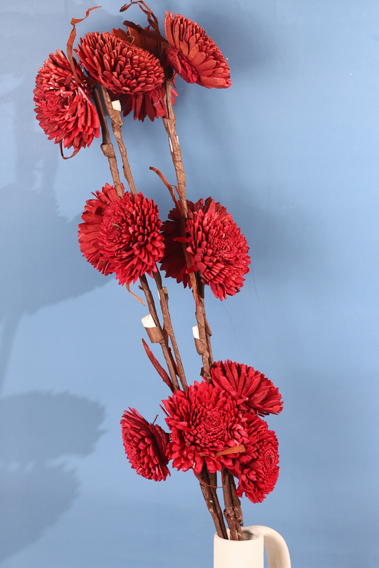 Red dried flower bouquet