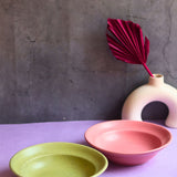 rosy Pink & army green pasta plates set of two combo