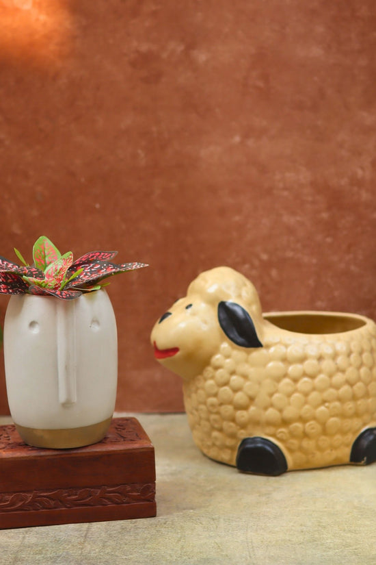 Set of 2 - Sheep & Quirky face planter combo with premium quality material