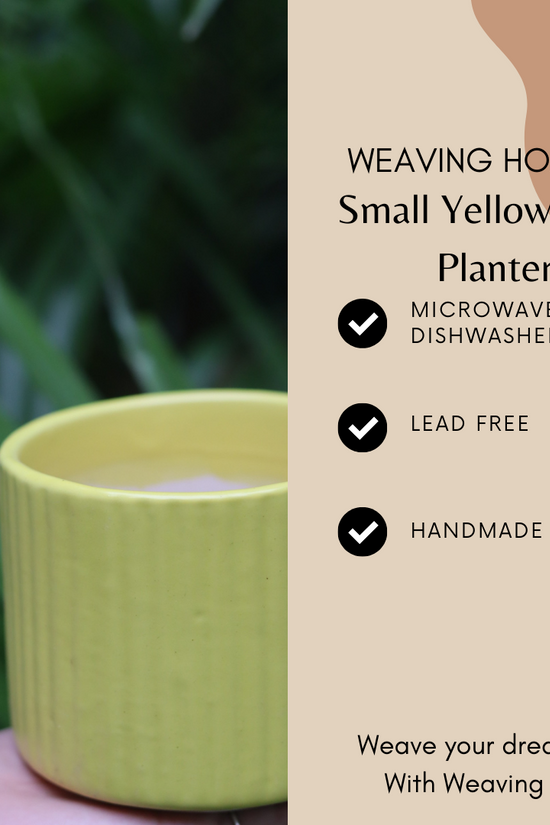 Small Yellow Lined Planter