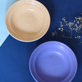 Set of 2 - Ivory & Matte Blue Pasta plate made by ceramic