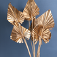 Dried Gold Palm - Bunch