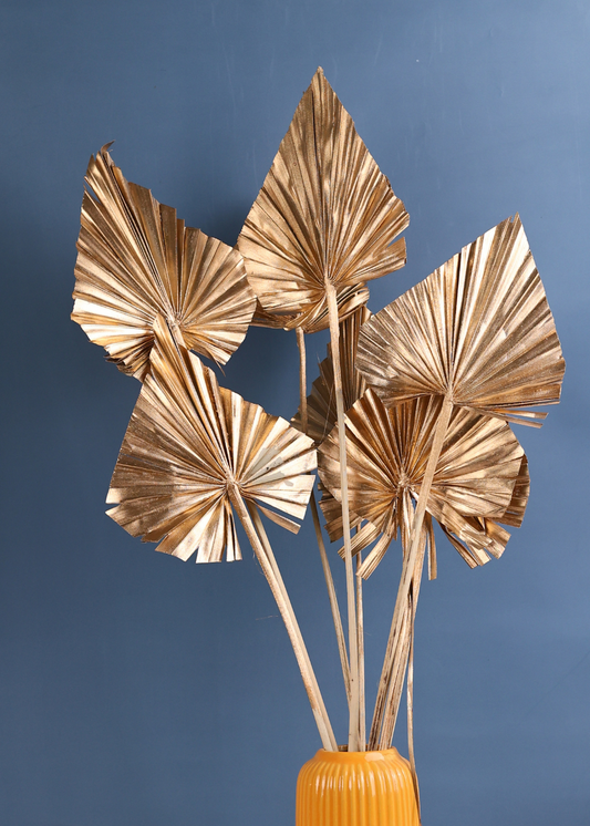 Dried Gold Palm - Bunch
