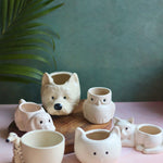 Set of 6 Pawfect Planters Set (for the price of 5) with premium quality material