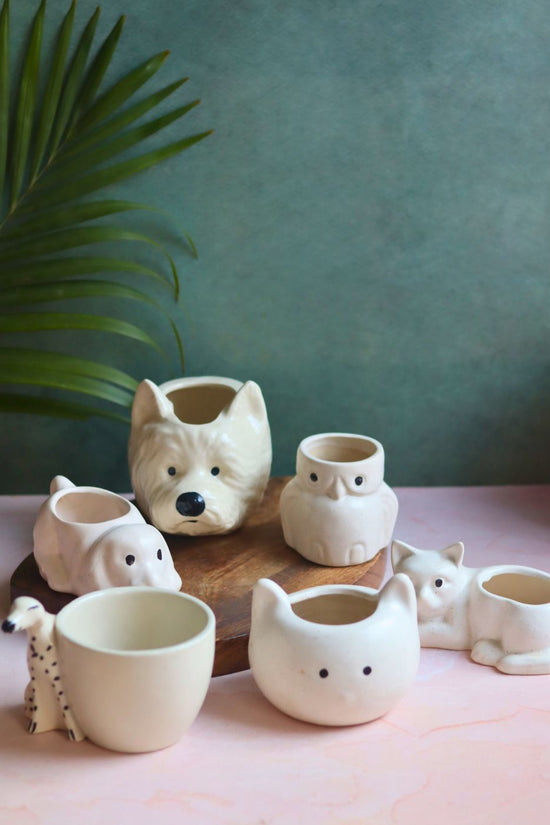 Set of 6 Pawfect Planters Set (for the price of 5) with premium quality material