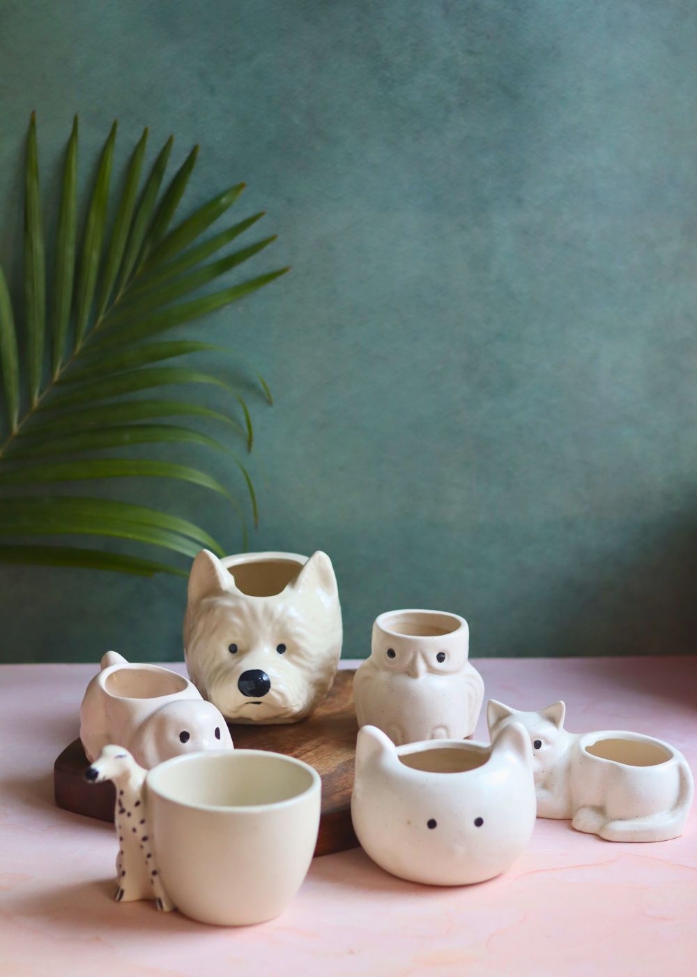 Set of 6 Pawfect Planters Set (for the price of 5) handmade in india