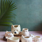Set of 6 Pawfect Planters Set (for the price of 5) handmade in india