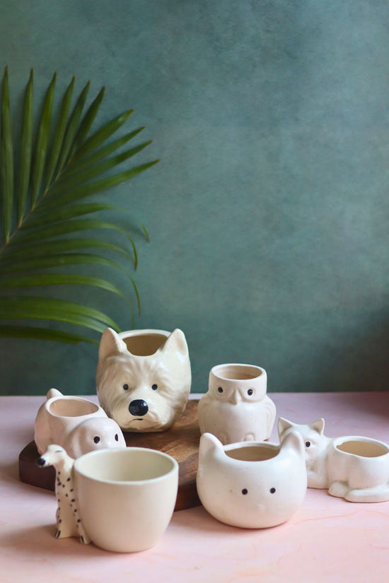 Set of 6 Pawfect Planters Set (for the price of 5) handmade in india