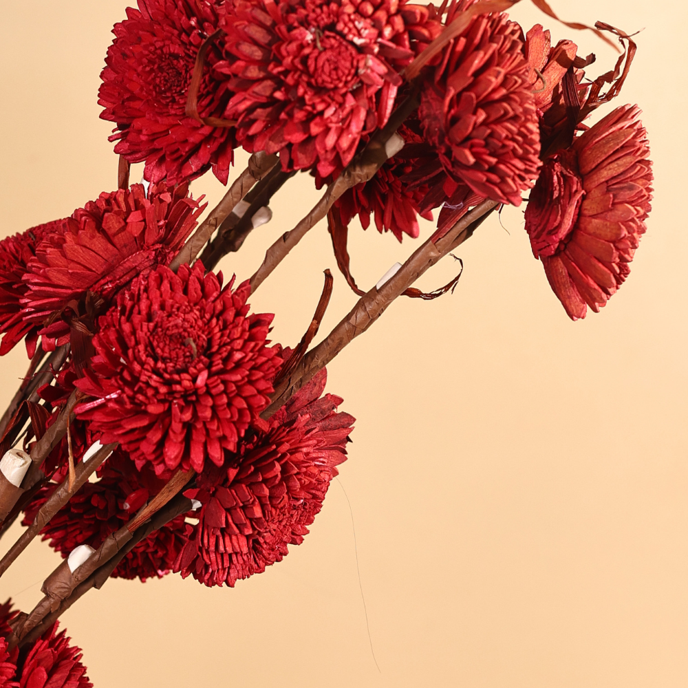 Dried red flower bunch