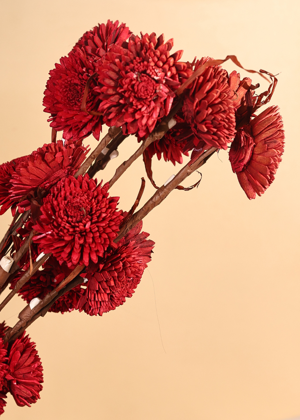 Dried red flower bunch