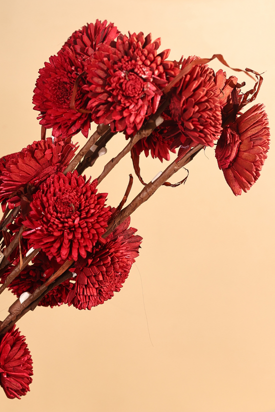 Dried red flower bunch
