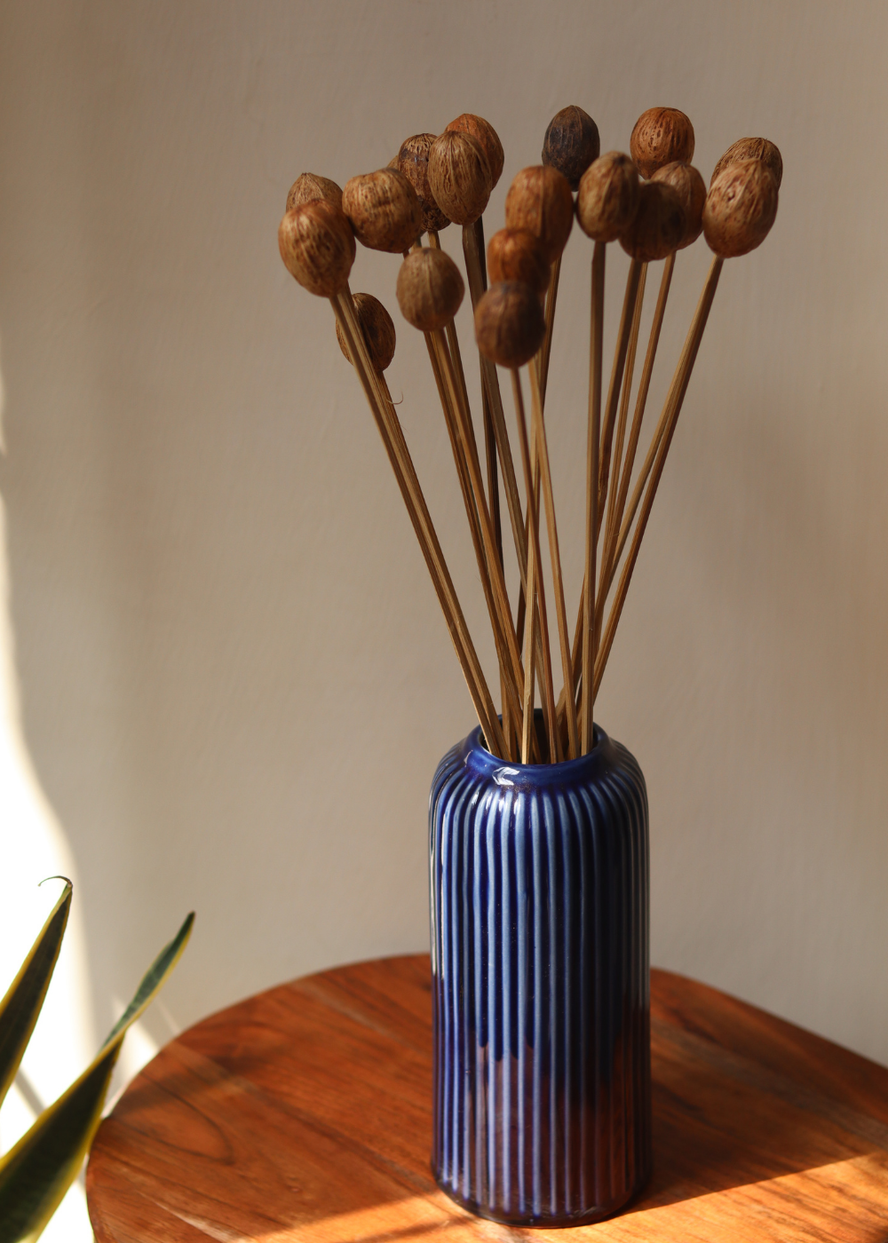 Dried amra bunch in vase