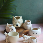 Set of 6 Pawfect Planters Set (for the price of 5) made by ceramic