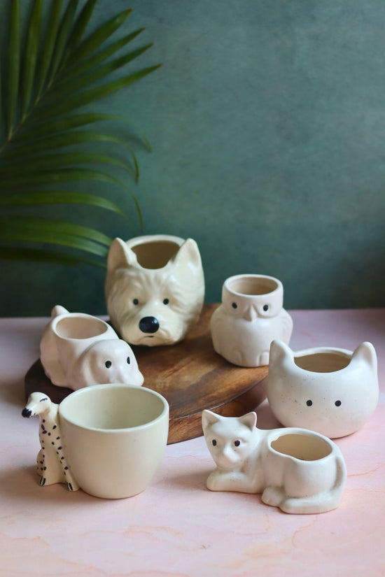 Set of 6 Pawfect Planters Set (for the price of 5) made by ceramic
