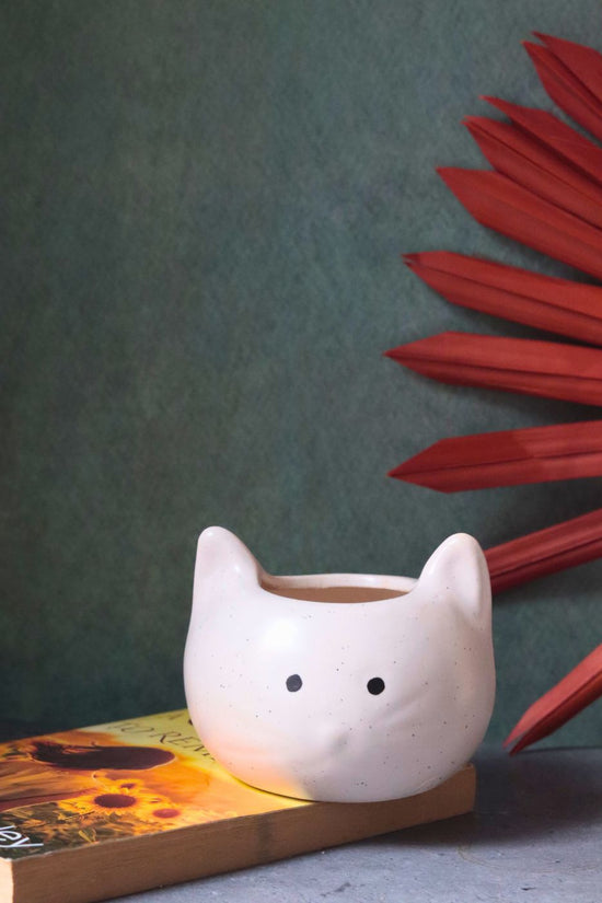 kity planter made by ceramic 