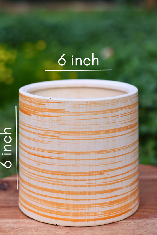 Mellow yellow planter height & breadth