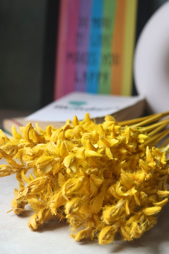Yellow ginger flower bunch 