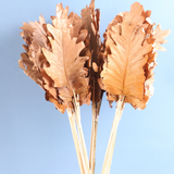 Dried Natural Leaf - Bunch