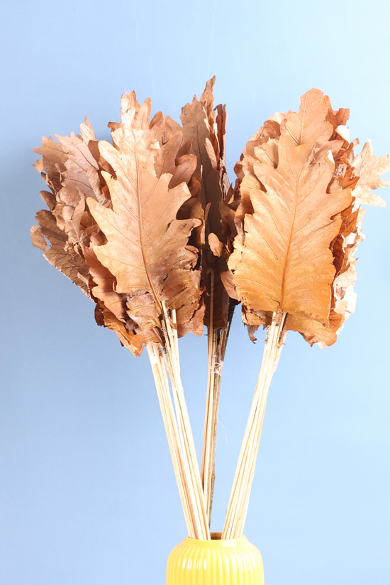 Dried natural bunch