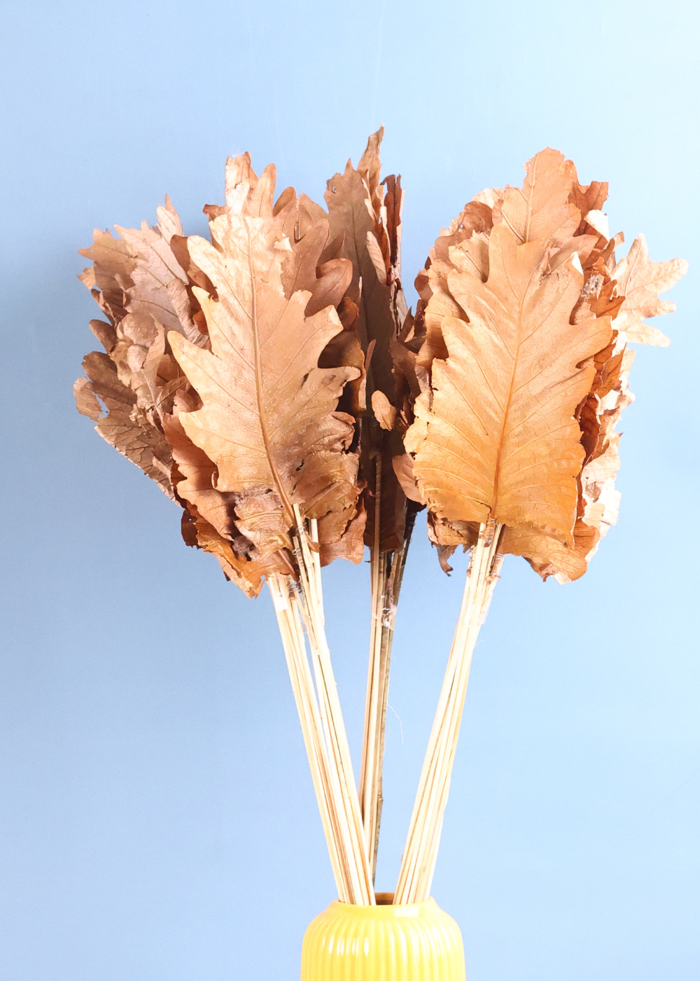 Dried Natural Leaf - Bunch