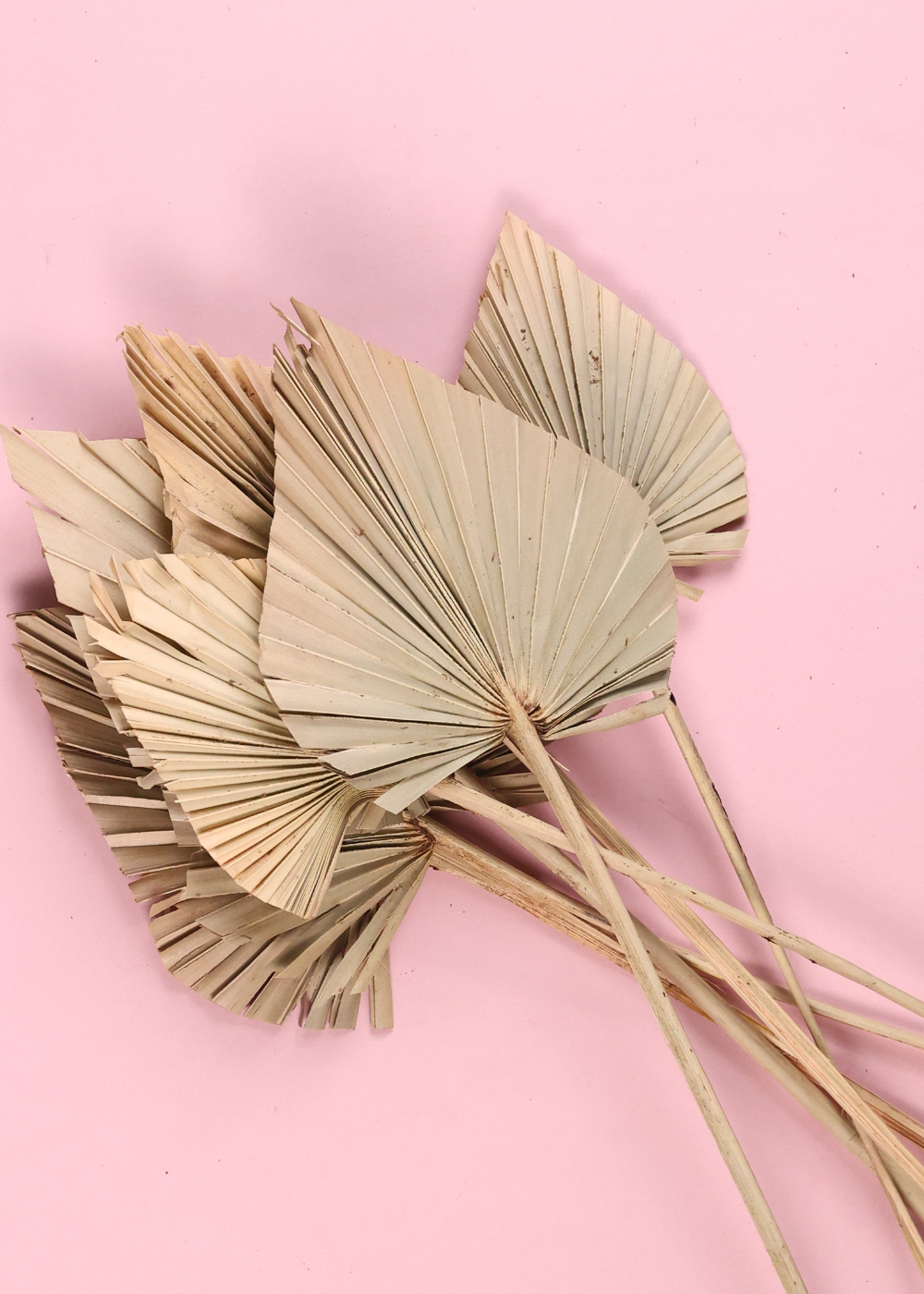 Dried small palm  bouquet